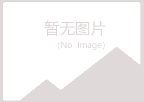 岢岚县易烟能源有限公司